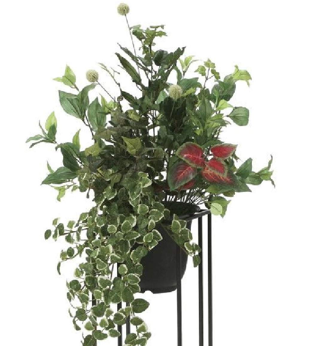 光触媒　人工観葉植物　ウォールグリーン　フェイクグリーン　グリーンスタンドプミラ Amazon｜光触媒 人工観葉植物 光の楽園 グリーンスタンドプミラ1.0m
